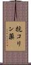 抗コリン薬 Scroll