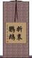 折衷鸚鵡 Scroll