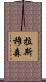 Rasmussen Scroll