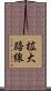 拡大路線 Scroll