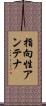 指向性アンテナ Scroll