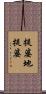 提婆地提婆 Scroll