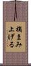 摘まみ上げる Scroll