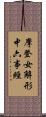 摩登女解形中六事經 Scroll