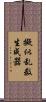 擬似乱数生成器 Scroll