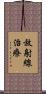 放射線治療 Scroll
