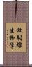 放射線生物学 Scroll