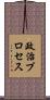政治プロセス Scroll