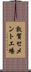 敦賀セメント工場 Scroll