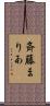 斉藤まりあ Scroll