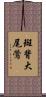斑背大尾鶯 Scroll