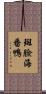 斑臉海番鴨 Scroll