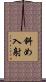 斜め入射 Scroll