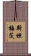 Steinmetz Scroll