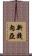 新幾內亞 Scroll