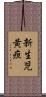 新生児黄疸 Scroll