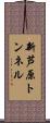 新芦原トンネル Scroll