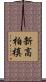新高柏槙 Scroll