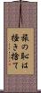 旅の恥は掻き捨て Scroll