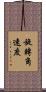 旋轉角速度 Scroll