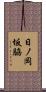 日ノ岡坂脇 Scroll