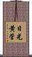 日光黄菅 Scroll