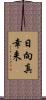 日向真幸来 Scroll