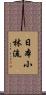 Nippon Shorin-Ryu Scroll