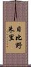 日比野朱里 Scroll