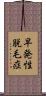 早発性脱毛症 Scroll