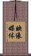 映像媒体 Scroll