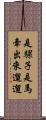 是騾子是馬，牽出來遛遛 Scroll