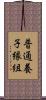 普通養子縁組 Scroll