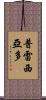 Preciado Scroll