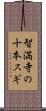 智満寺の十本スギ Scroll