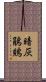 暗灰鵑鵙 Scroll