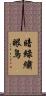 暗綠繡眼鳥 Scroll