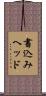 書込みヘッド Scroll