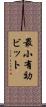 最小有効ビット Scroll