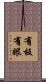 有板有眼 Scroll