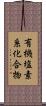 有機塩素系化合物 Scroll