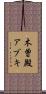 木曽殿アブキ Scroll
