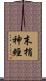 末梢神經 Scroll