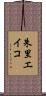 朱里エイコ Scroll