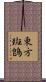 東方斑鵖 Scroll