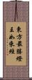 東方最勝燈王如來經 Scroll