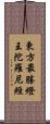 東方最勝燈王陀羅尼經 Scroll