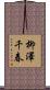 柳澤千春 Scroll