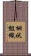 柵状組織 Scroll