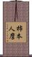 柿本人麿 Scroll